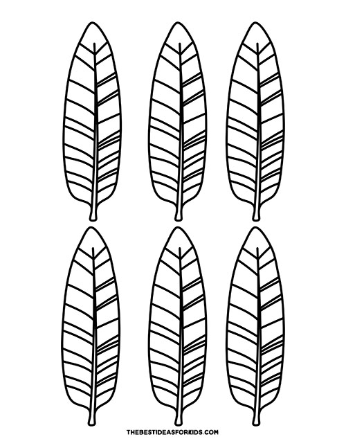 Turkey feather template free printables