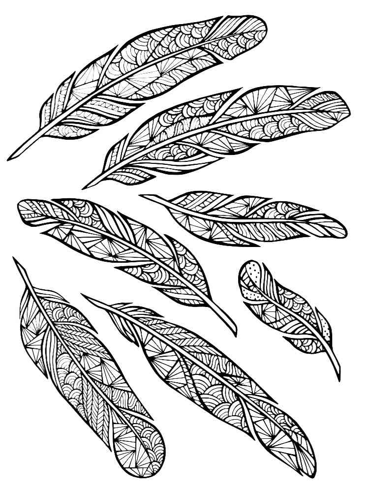 Feather coloring pages for adults