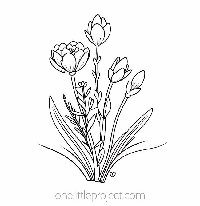 Flower coloring pages free printable flower coloring sheets