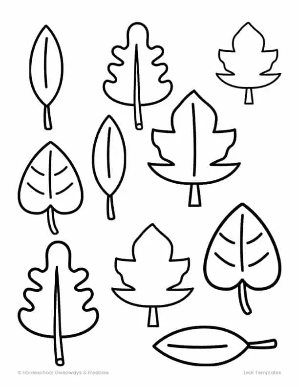 Printable leaf templates for learning about leaves