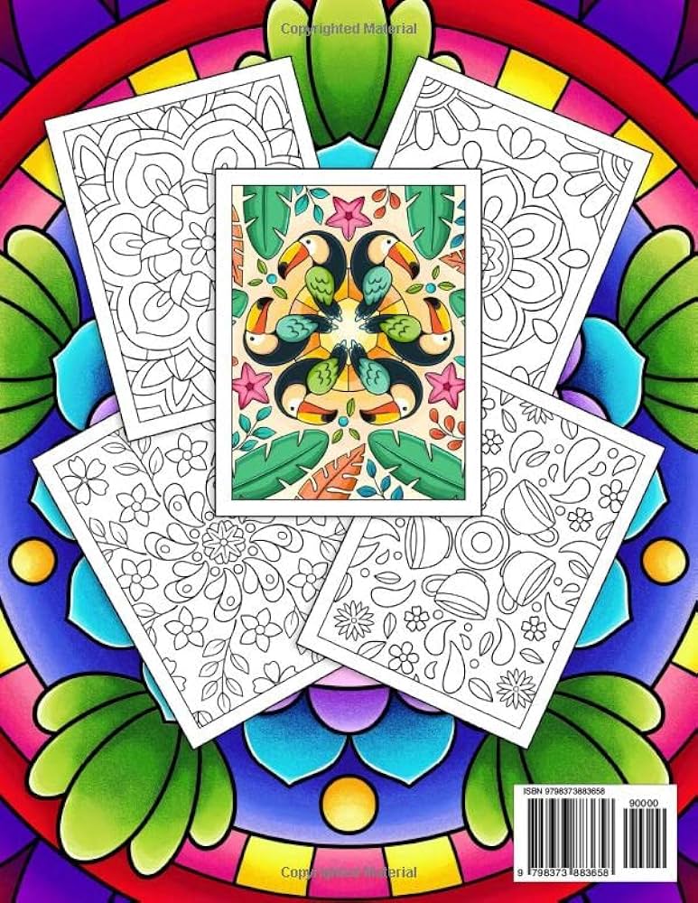 Mindful patterns large print adult coloring book for women an adult coloring book with beautiful designs of flowers and botanical mandala patterns for stress relief relaxation and creativity mayfield ellyse