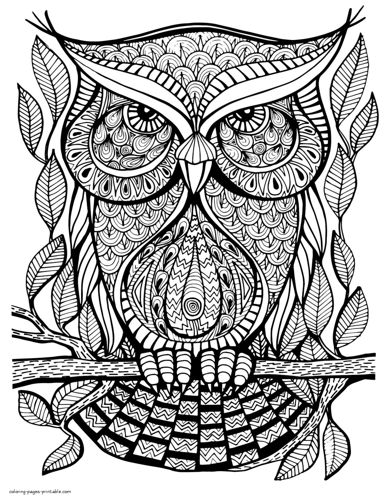 Large print coloring pages for adults coloring