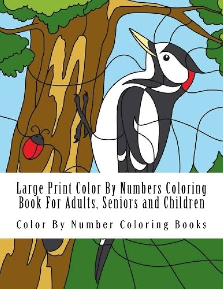 Large print lor by numbers loring book for adults seniors and children cats flowers butterflies birds more easy designs loring books lor by number books