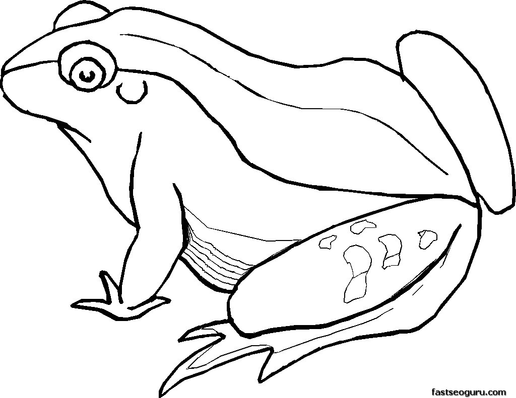 Coloring page frog animals â printable coloring pages