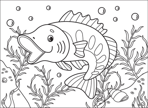 Largemouthbass coloring page free printable coloring pages