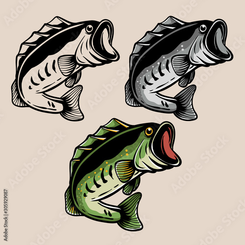 Fishing logo bass fish isolated on colour largemouth bass fish for tshirt design sticker or emblem fish coloring page vector