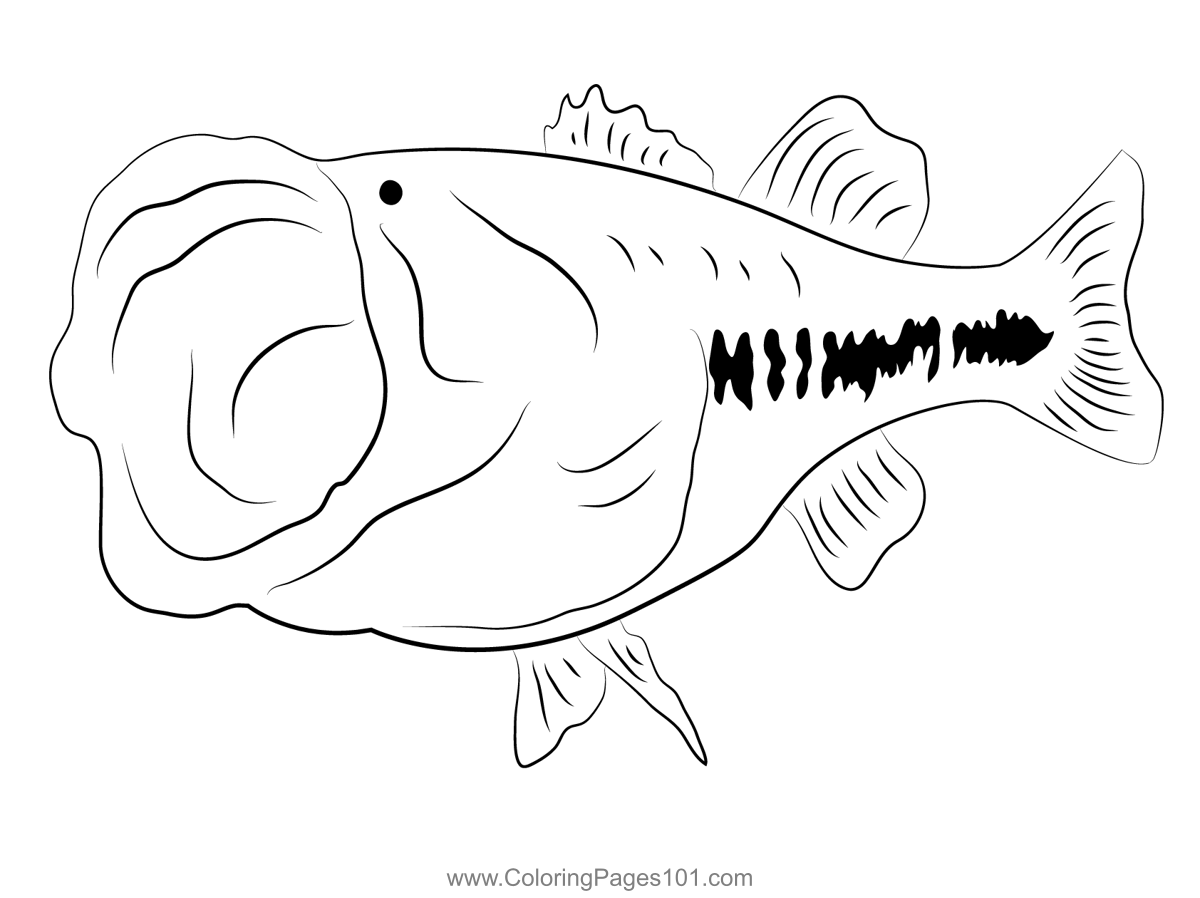 Bass largemouth fish mount coloring page for kids