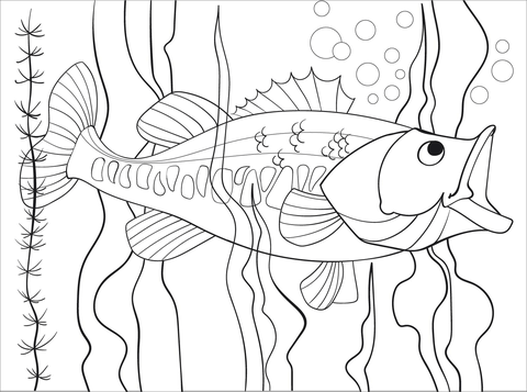 Largemouth bass coloring page free printable coloring pages