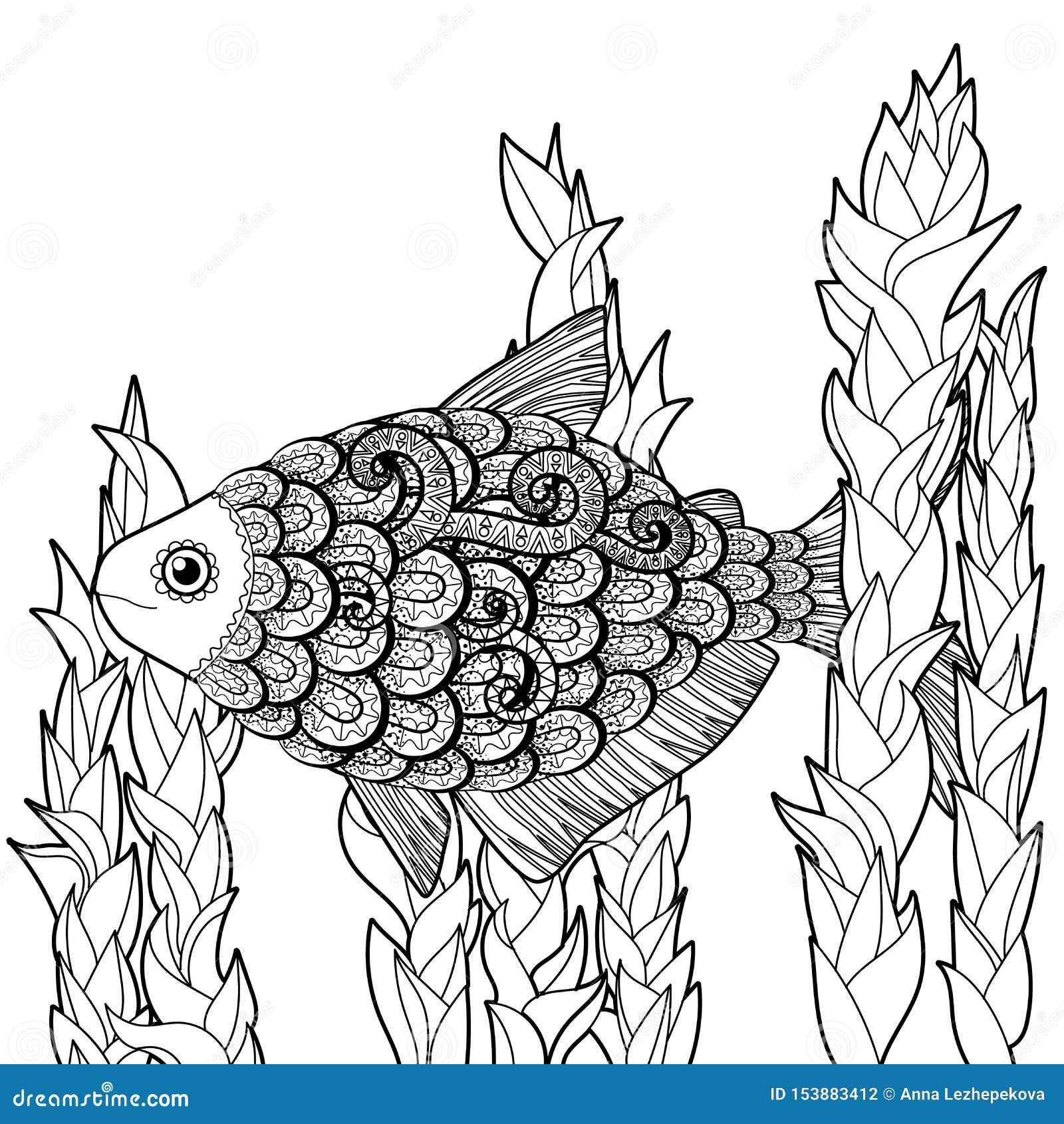 Bass fish clipart stock illustrations â bass fish clipart stock illustrations vectors clipart