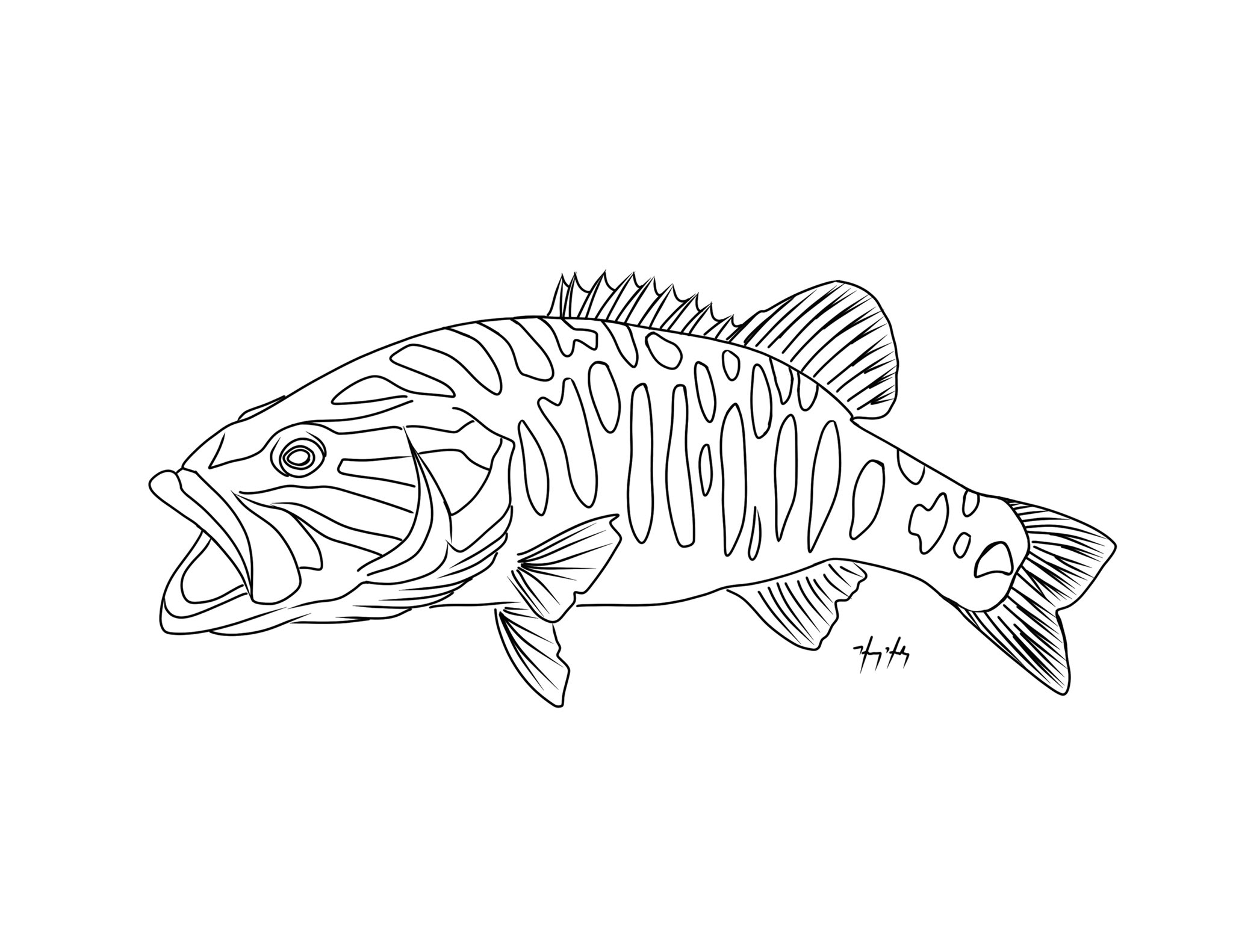 Hank hershey phd on x yo are your kids running out of activities in quarantine for bucks ill turn any photo of a fish you caught into a coloring page just