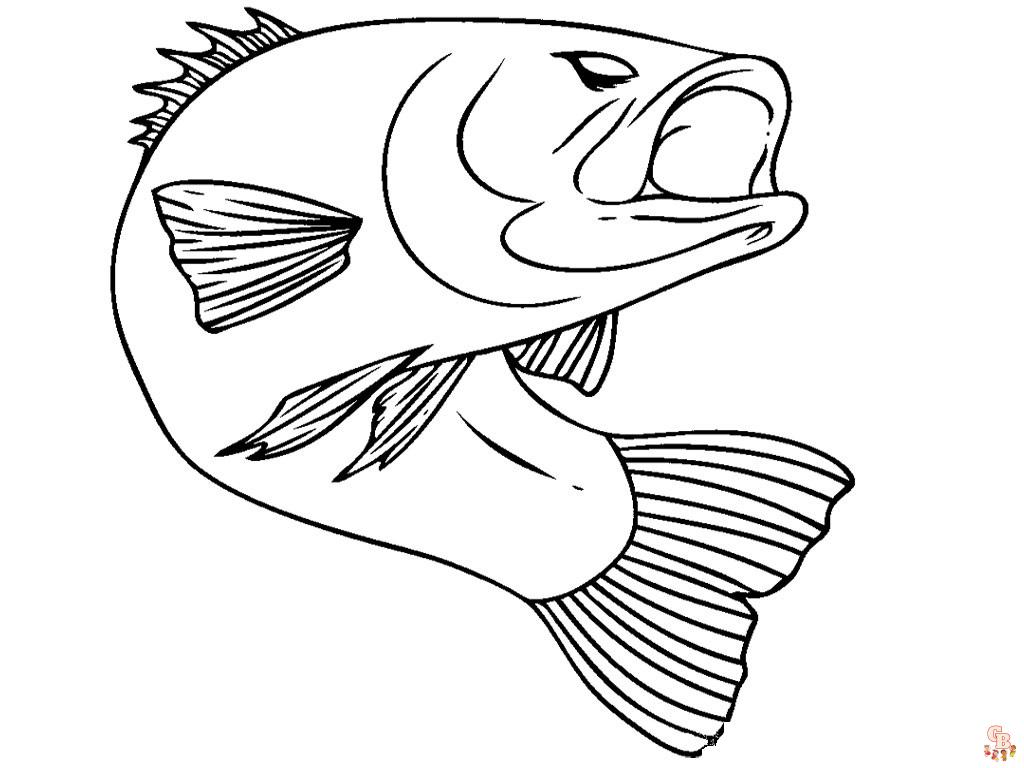 Free printable bass fish coloring pages for kids