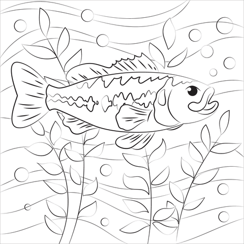 Largemouth bass coloring page free printable coloring pages