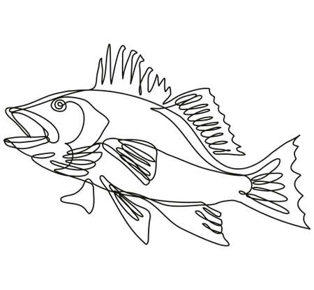 Continuous line drawing illustration of a largemouth bass jumping up side view in mono line or doodle style in black and white on isolated background ù ùùø øªøµù ùù ù