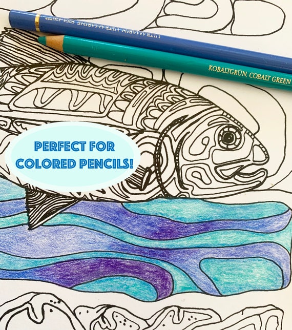 Freshwater fish coloring pages adult coloring pages largemouth bass smallmouth bass spotted bass and striped bass