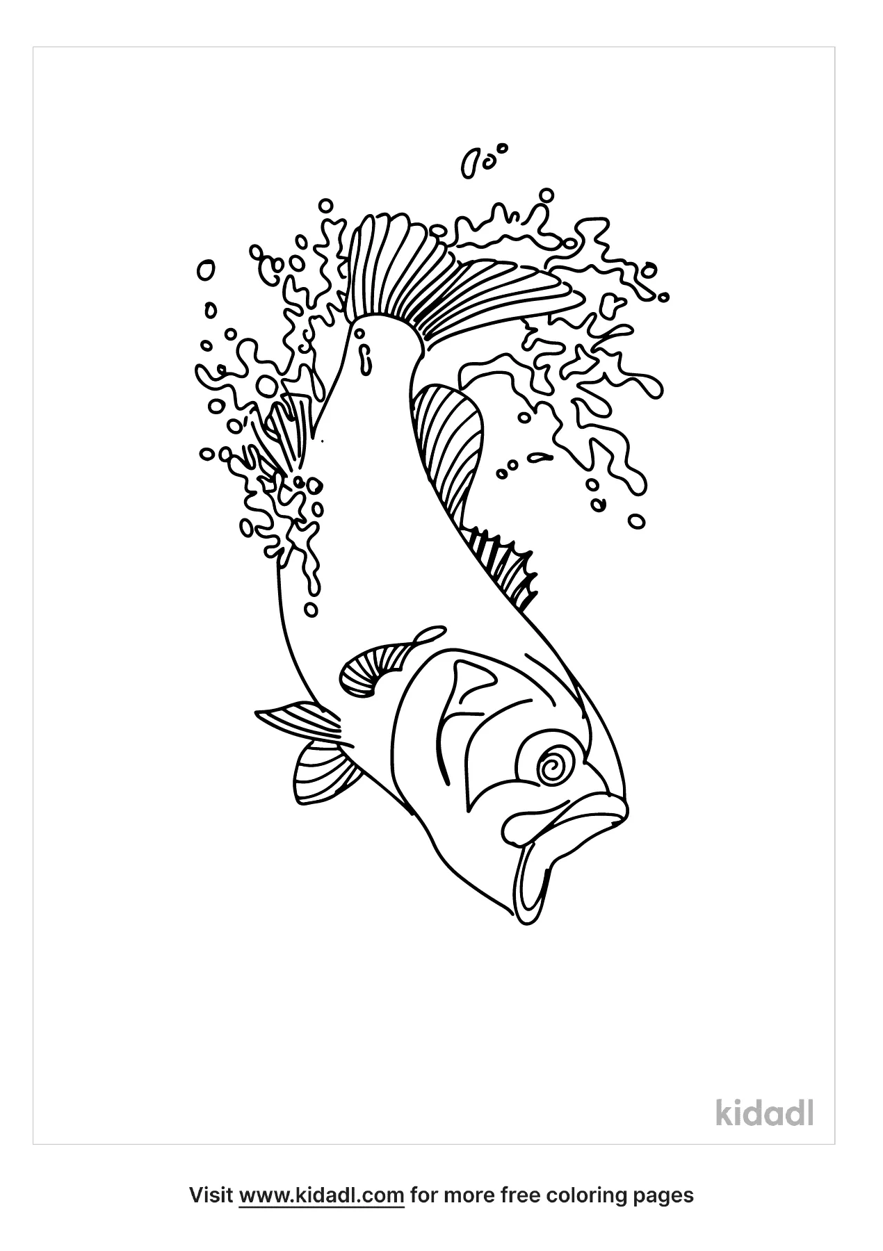 Free largemouth bass coloring page coloring page printables