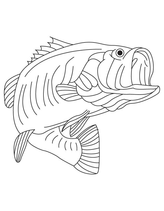 Alabama state freshwater fish largemouth bass fish coloring page flag coloring pages coloring pages