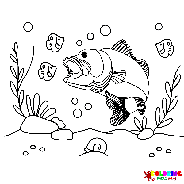 Bass fish coloring pages