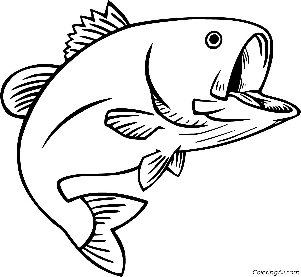 Bass coloring pages