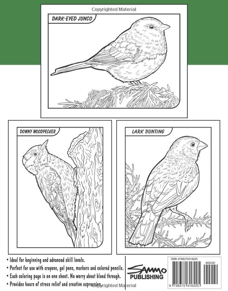 Birds of colorado coloring book for kids teens adults a collection of mon unique birds of colorado for bird watchers to identify and color morrison sam books