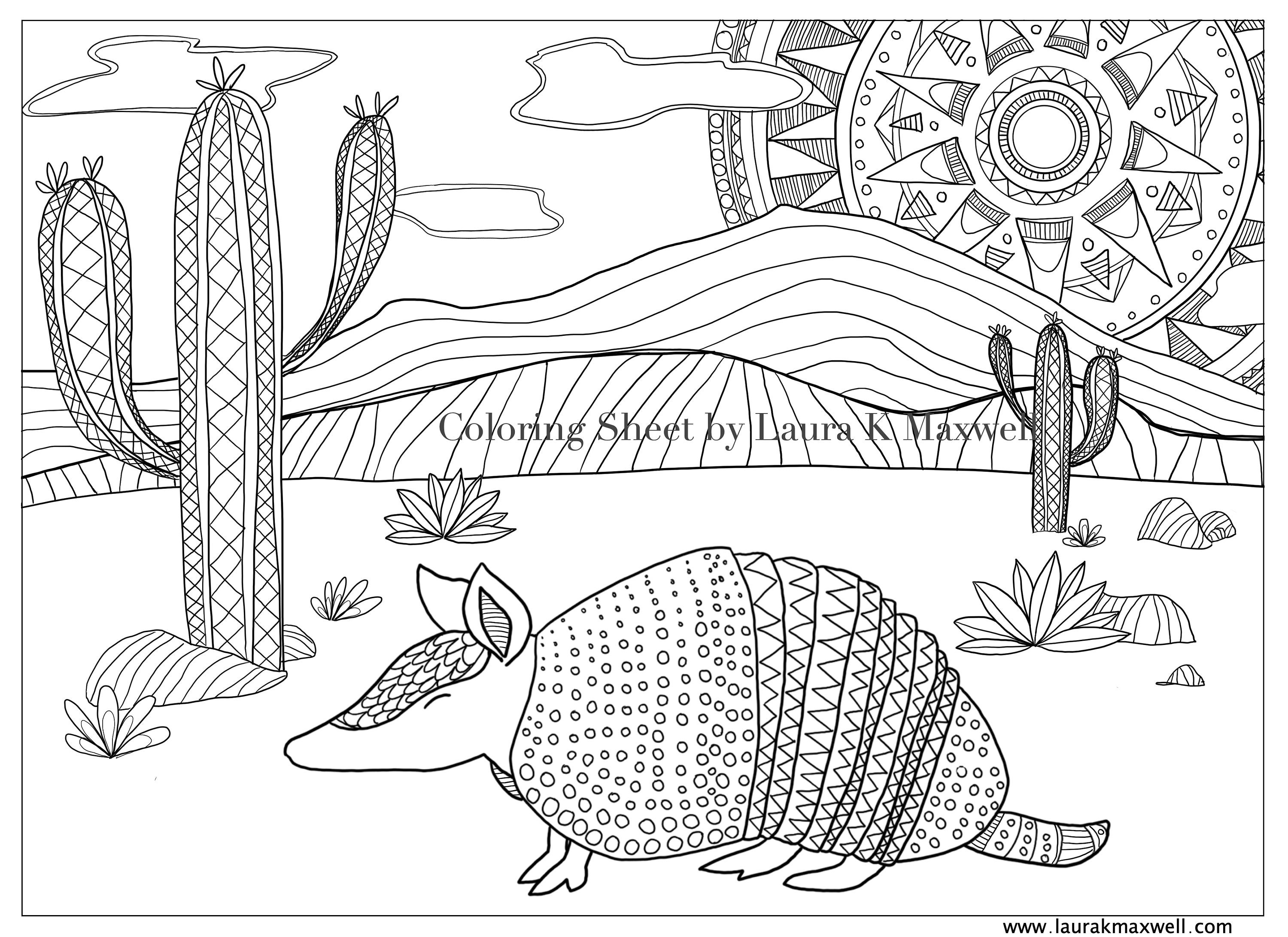 Armadillo desert coloring sheet for adults and kids armadillo coloring page desert art instant download printable activity instant download