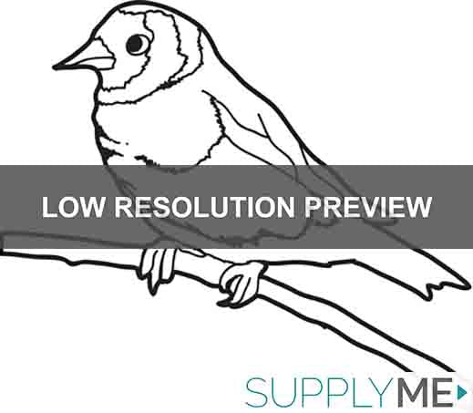Printable sparrow coloring page for kids â