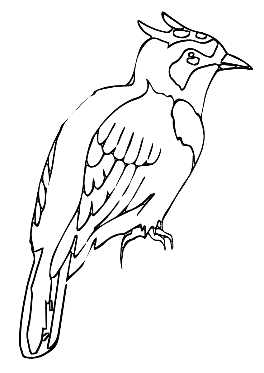 Lark coloring pages coloring pages to download and print