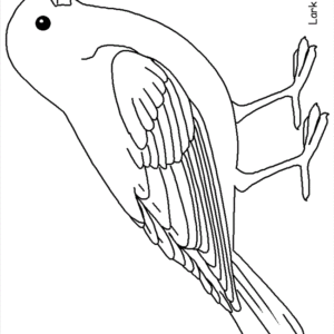 Bird coloring pages printable for free download