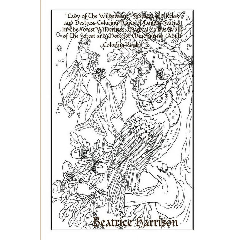 Lady of the wilderness features relax and destress coloring pages of fantasy fairies in the forest wilderness magical fairies walk of the forest and more for mindfulness adult coloring book p