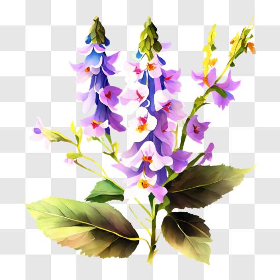 Larkspur flower png