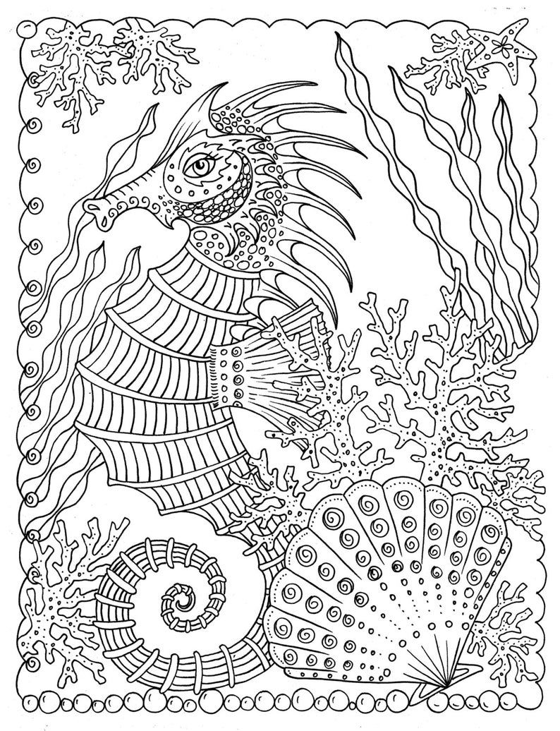 Pãginas de shells to color instant download coloring page etsy coloring pages coloring books adult coloring