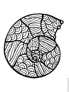 Seashell coloring pages