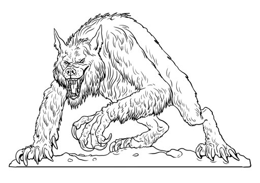 Werewolf howls on moon drawing fantasy monster coloring template illustration