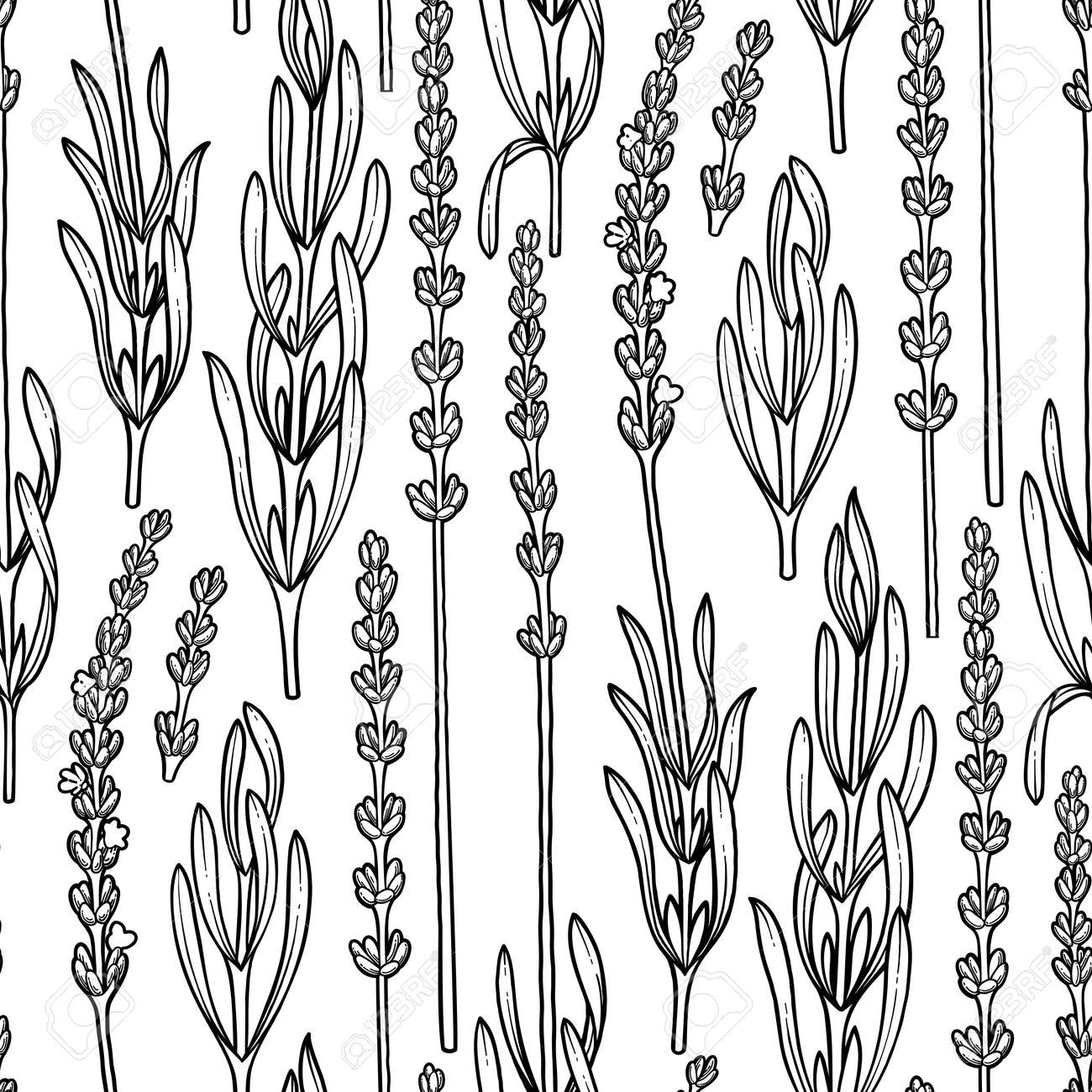 Graphic lavender flowers vector herbal seamless pattern coloring book page for adults and kids royalty free svg cliparts vectors and stock illustration image