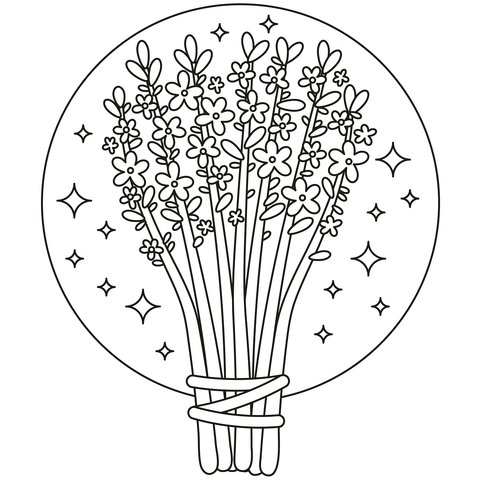 Lavender coloring page free printable coloring pages