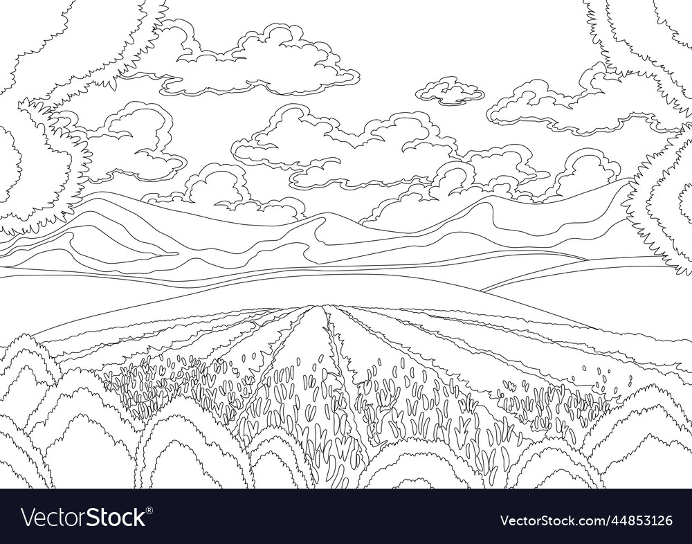 Lavender field landscape in coloring style hand vector image