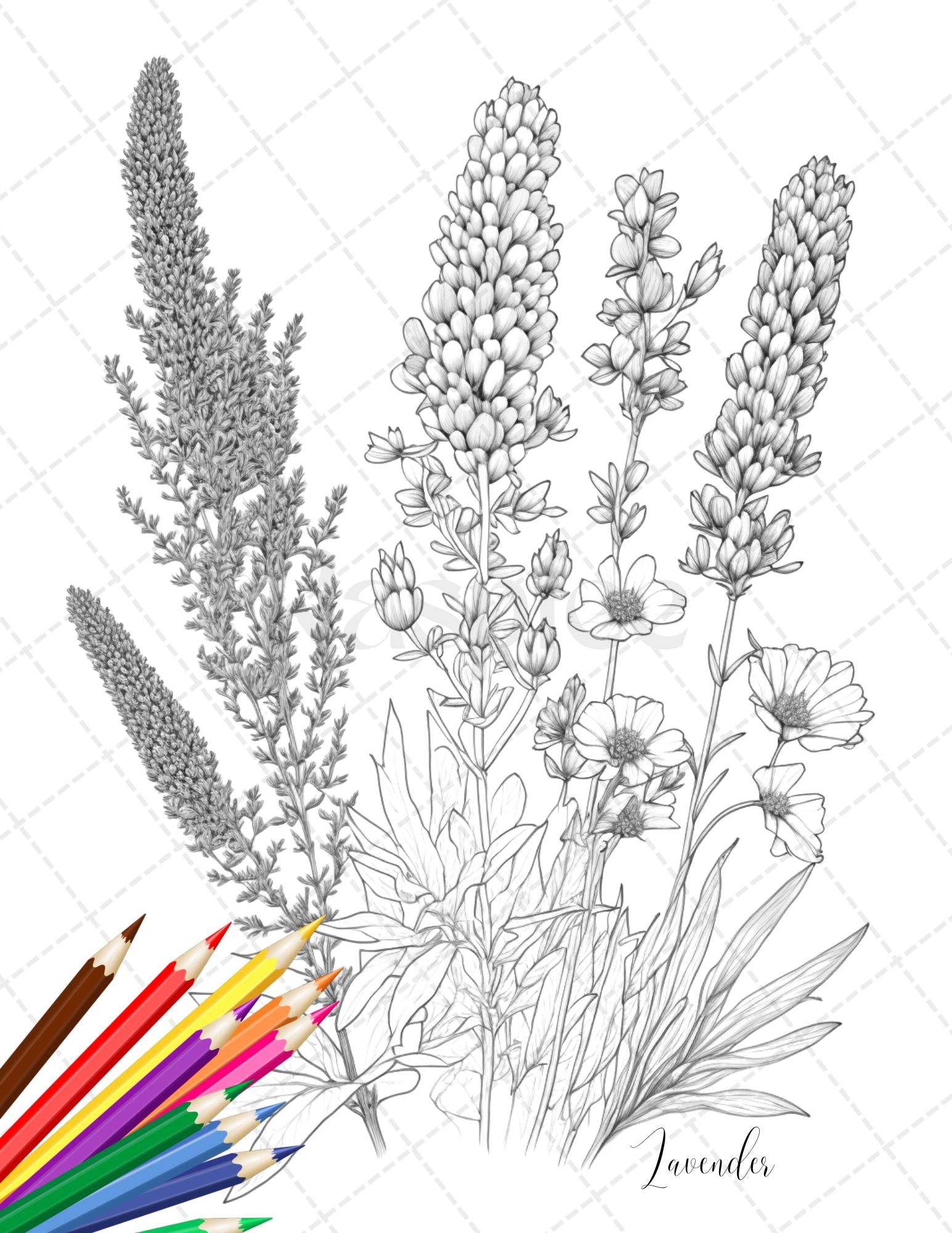 Botanical flowers printable coloring pages for adults floral grays â coloring