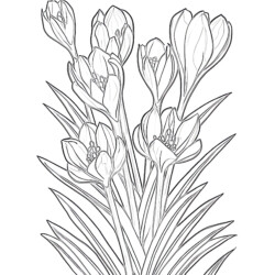 Lavender coloring page