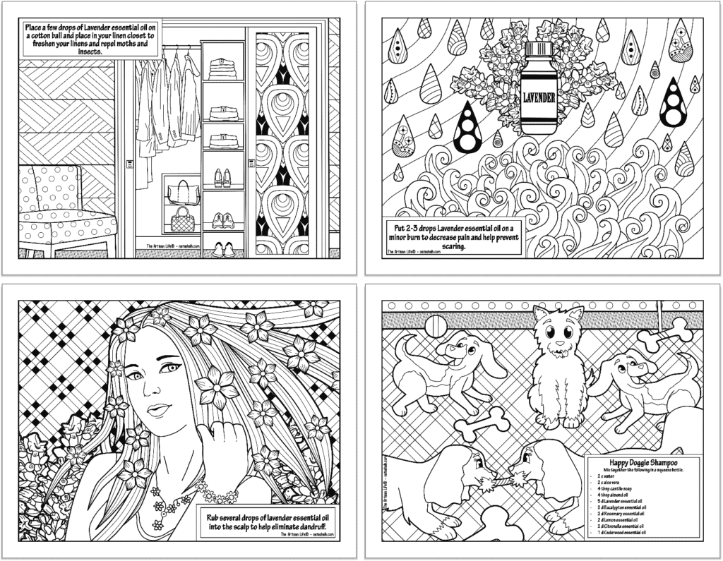 Free printable lavender essential oil coloring pages