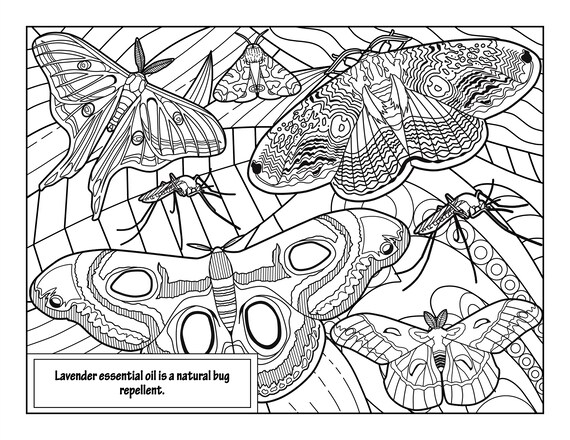 Lavender coloring pages for adults printable coloring pages instant download pdf