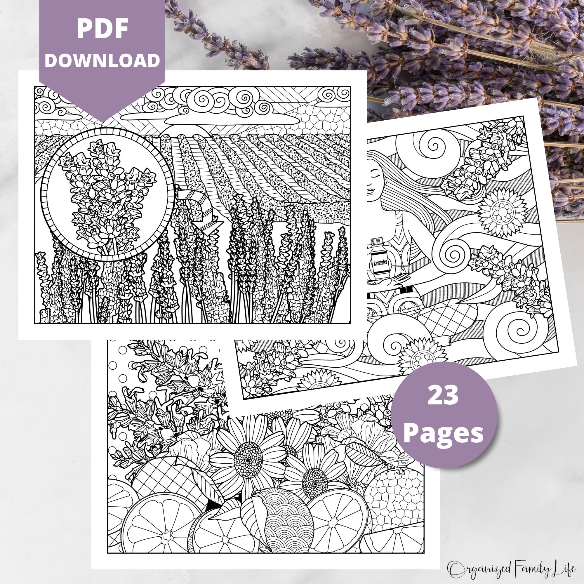 Lavender essential oil coloring pages pdf printable â instant download â organized family life