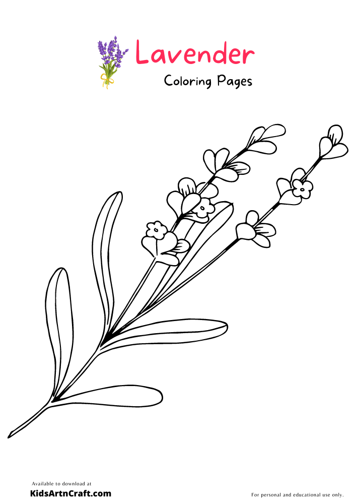 Lavender coloring pages for kids â free printables