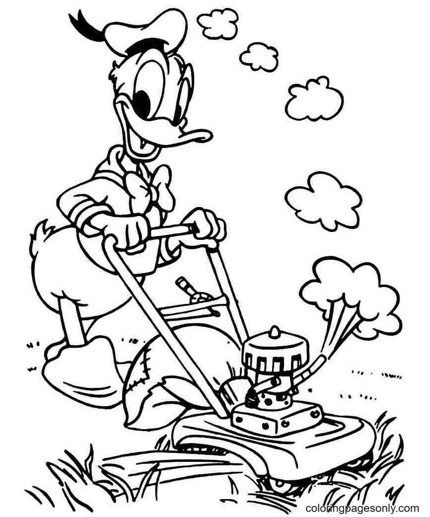 Donald duck and the lawn mower coloring page