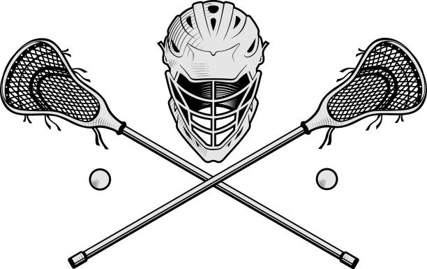 Lacrosse stock illustrations royalty