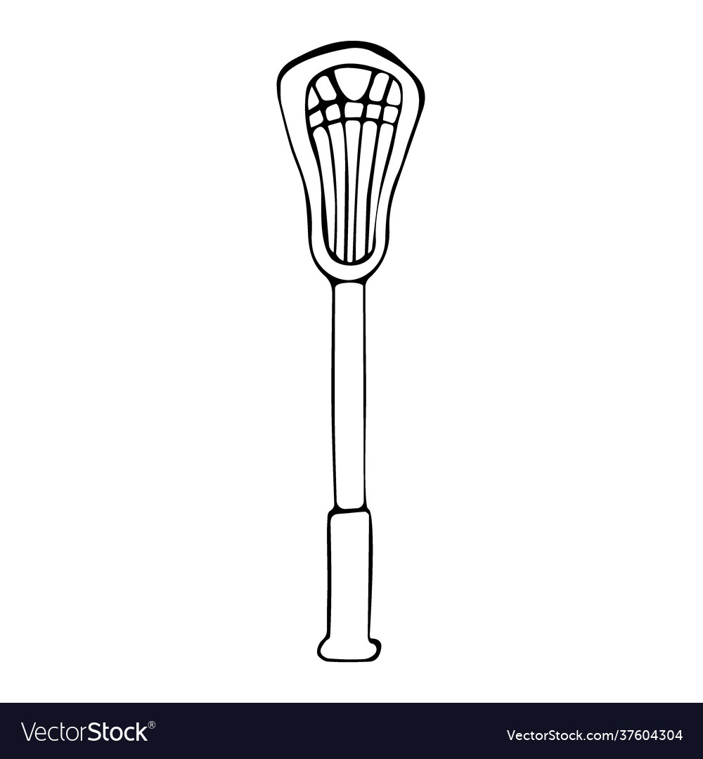 Doodle hand drawn element lacrosse stick vector image