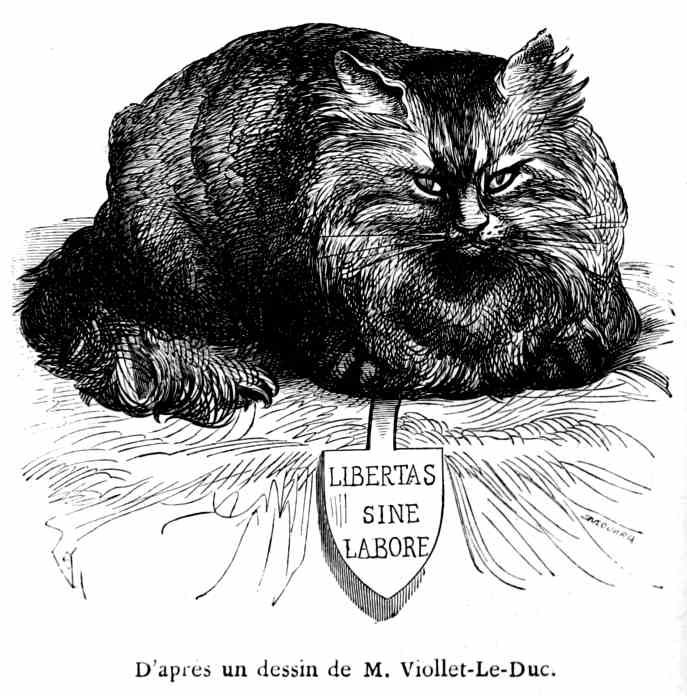 The cat past and present from the french of m champfleury