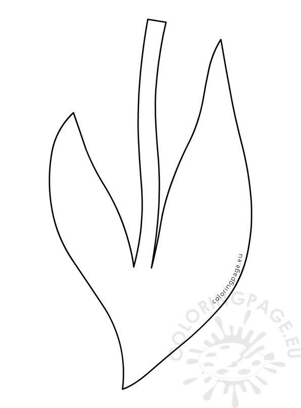 Perfect flower stem and leaf coloring page and view leaf coloring page paper flower art flower templates printable