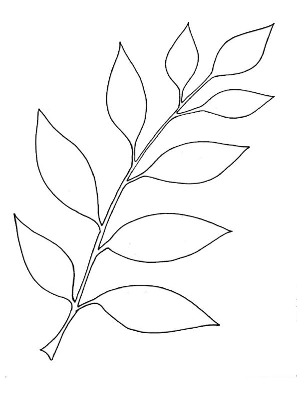 Coloring pages coloring pages download leaf coloring page leaf template leaf template printable