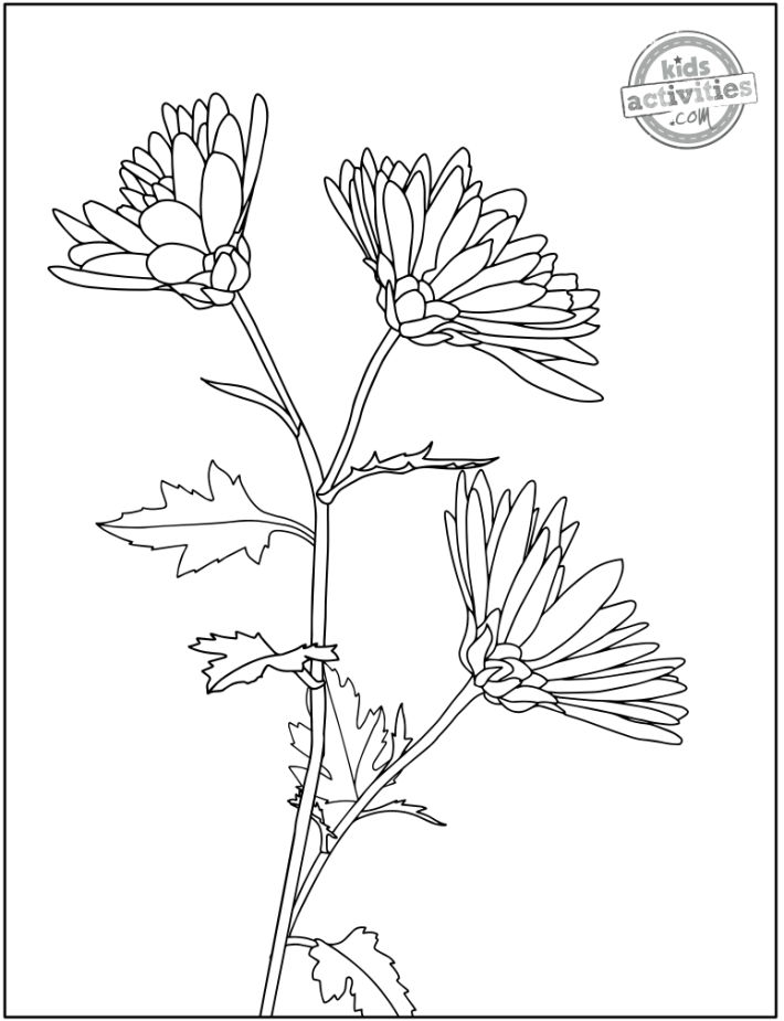 Printable flower coloring pages for kids