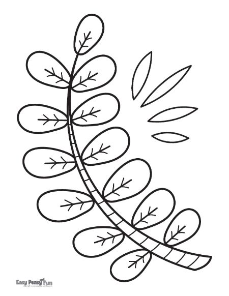 Printable leaf coloring pages â sheets