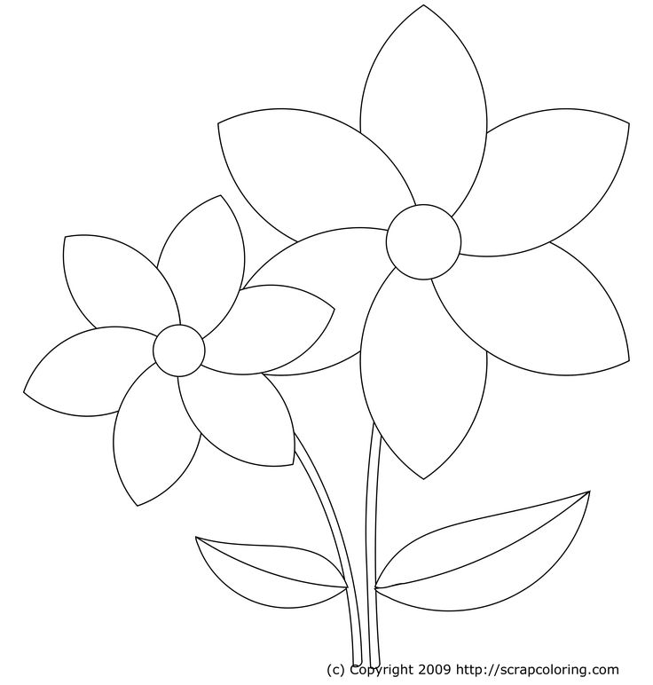 Free coloring pages flower templates printable free easy flower drawings flower templates printable